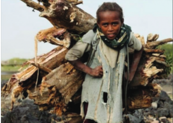 Crises Only Fuel Child Labor