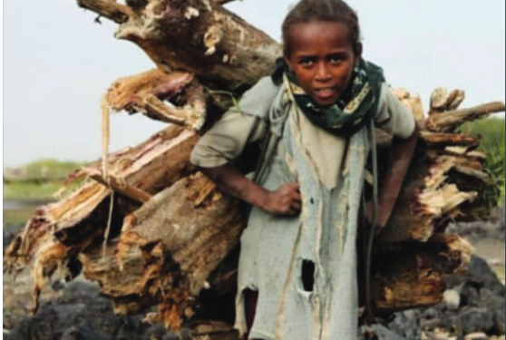 Crises Only Fuel Child Labor