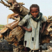 Crises Only Fuel Child Labor