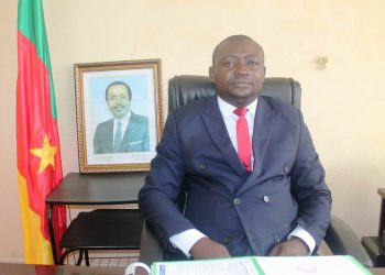 Paul Efome Ngale: Development-focused Limbe City Mayor