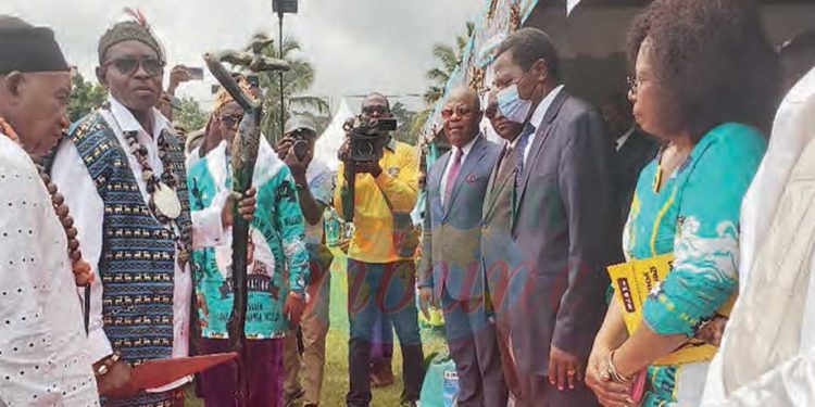 John Elufa Manga-Williams Is New King of Limbe