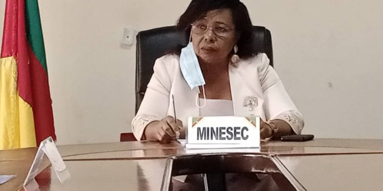 Cameroon reiterates pregnant students’ right to education