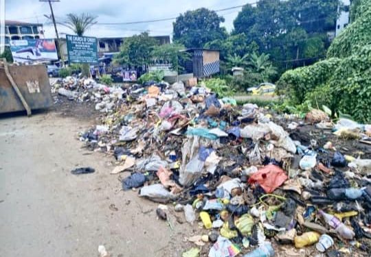 Filth in Buea: Cause for concern